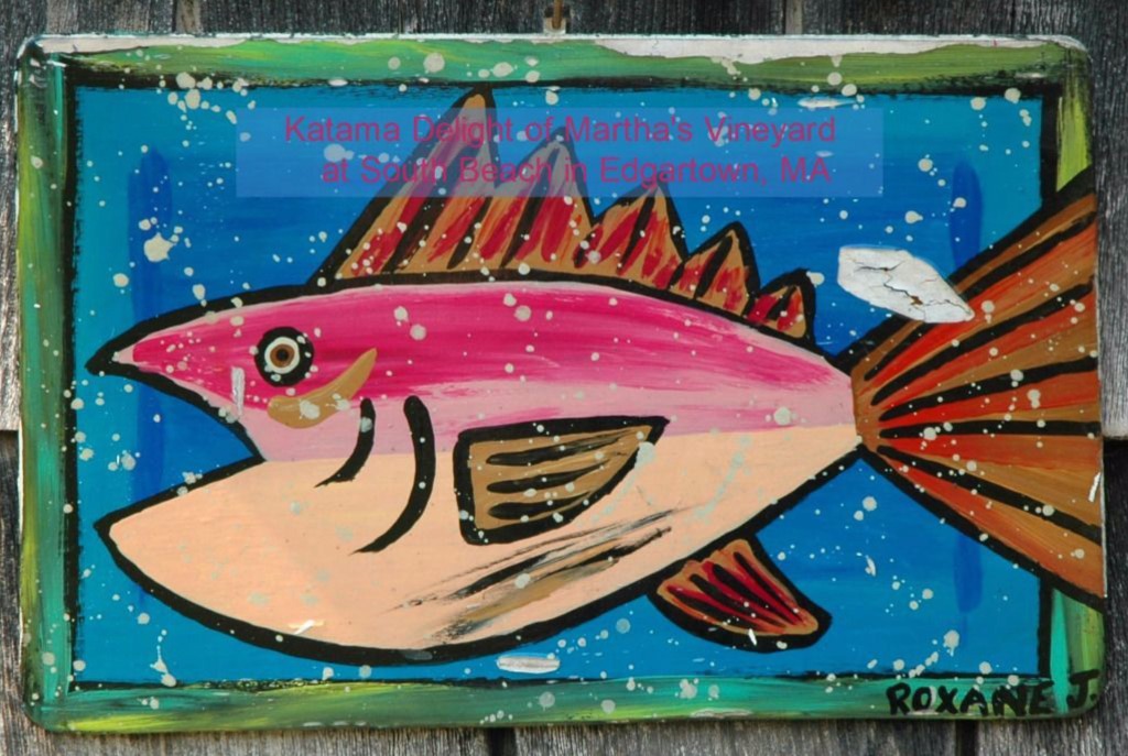 Houfy: Member of the month