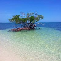 Preparing for your stay in Progreso, Yucatan