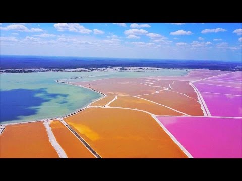 The Pink Lakes of Las Coloradas