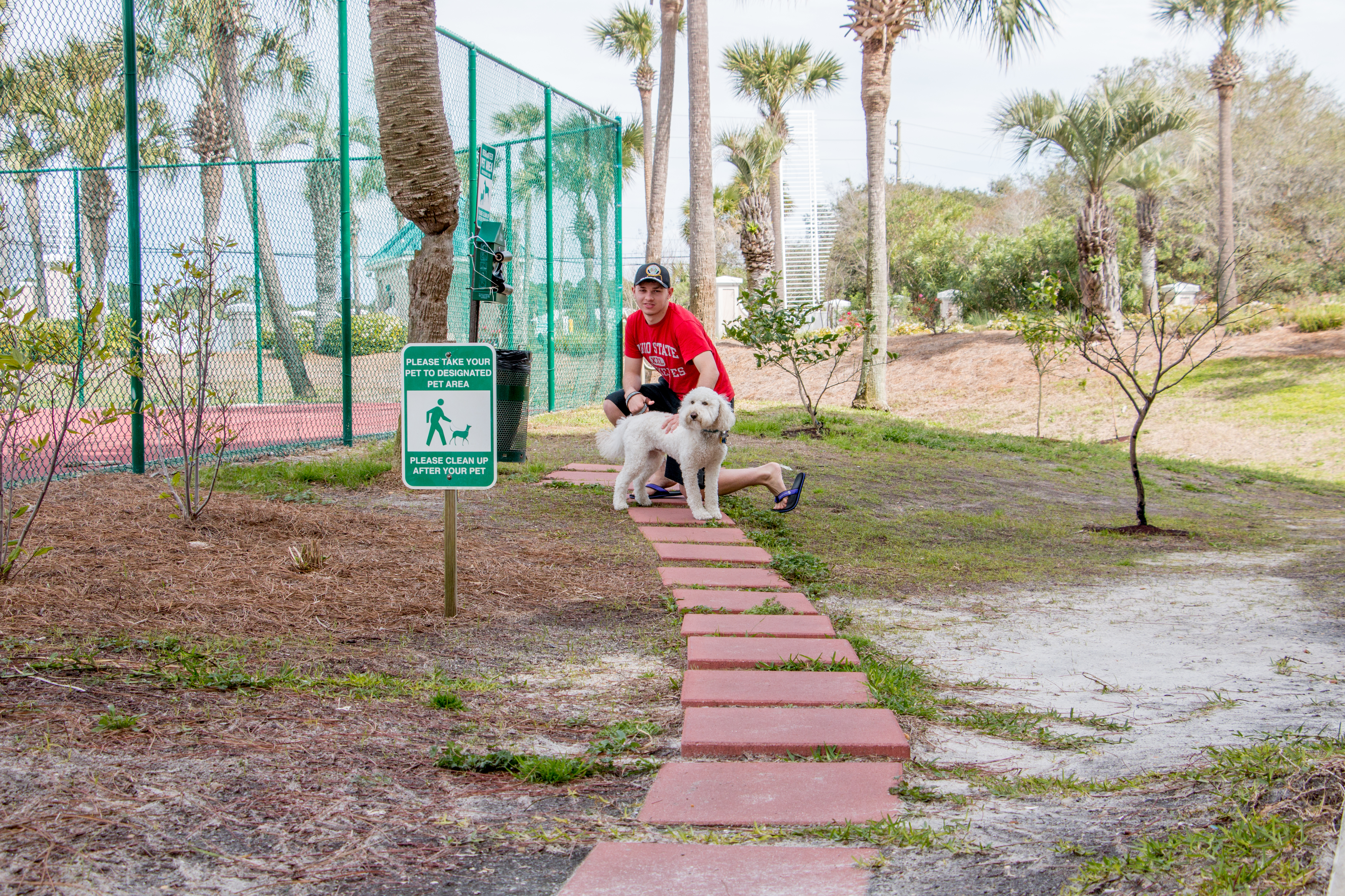 Creating a logo for $20