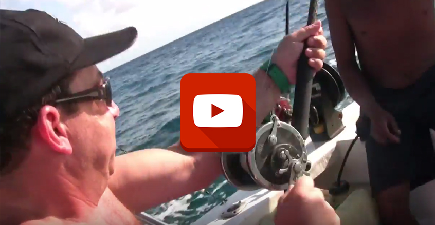 Fun Water Activities in Playa del Carmen