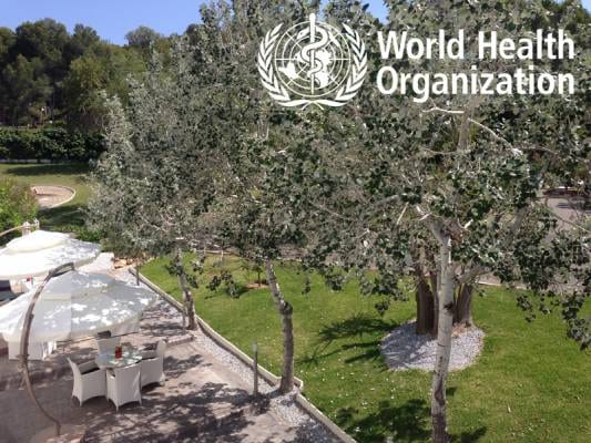 <p> </p><h2>Health & Climate of the Costa Blanca</h2><p>Costa Blanca is considered to be the most pleasant and healthiest area in Europe due to its micro-climate and stable temperatures...</p><p></p>