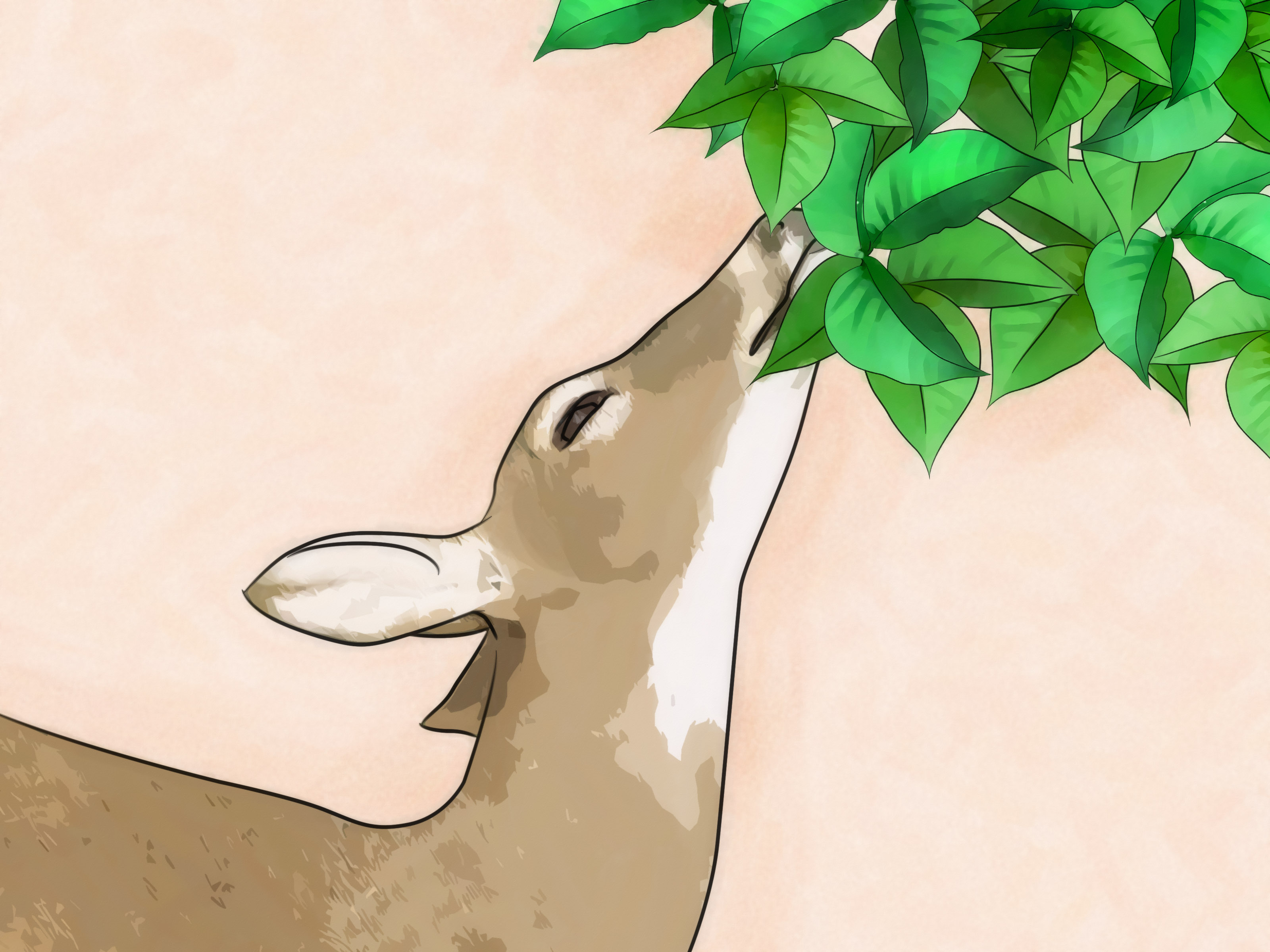 Pull On Your Boots And Start Hiking !