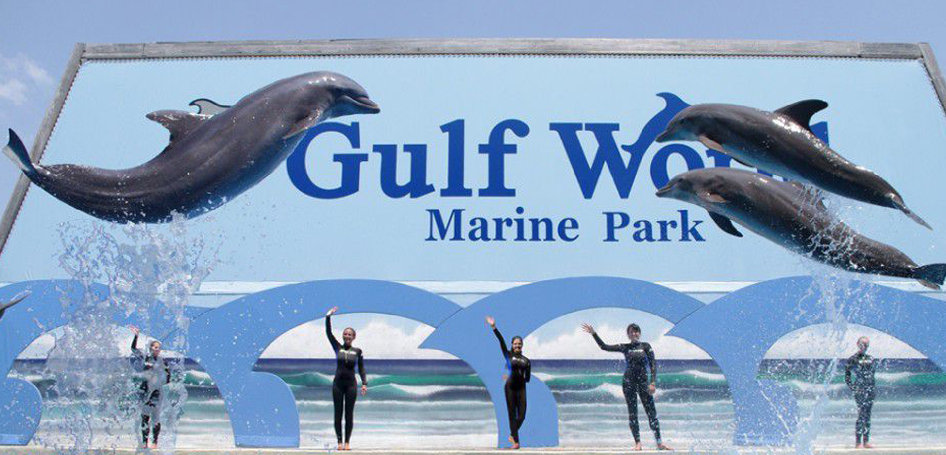 Dolphins, Stingrays, Penguins OH MY.  Gulf World has a lot to offer from daily shows, swimming with the animals, and interactive programs.