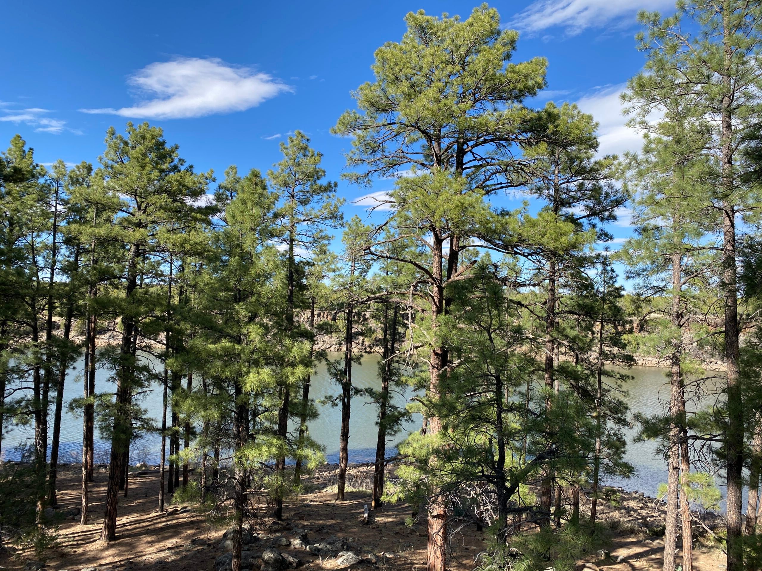 9 Reasons Why You'll Fall In Love With This AZ Mountain Town