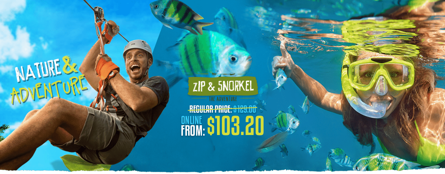 Which adventure park is best for you?