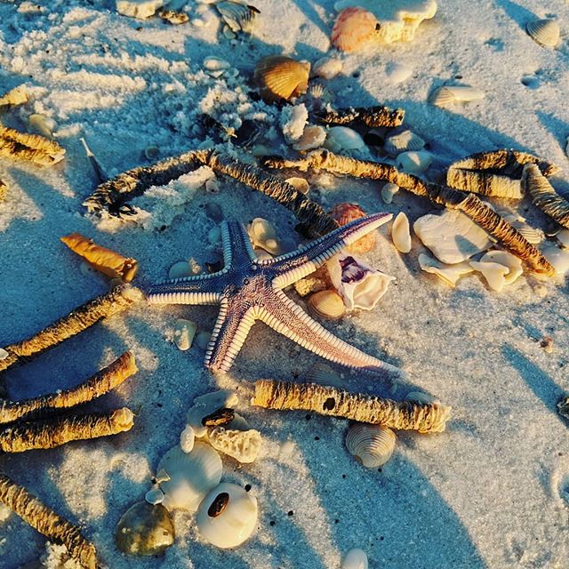 Sunrise/Sunset Photography