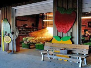 Justus Orchard near Lake Lure