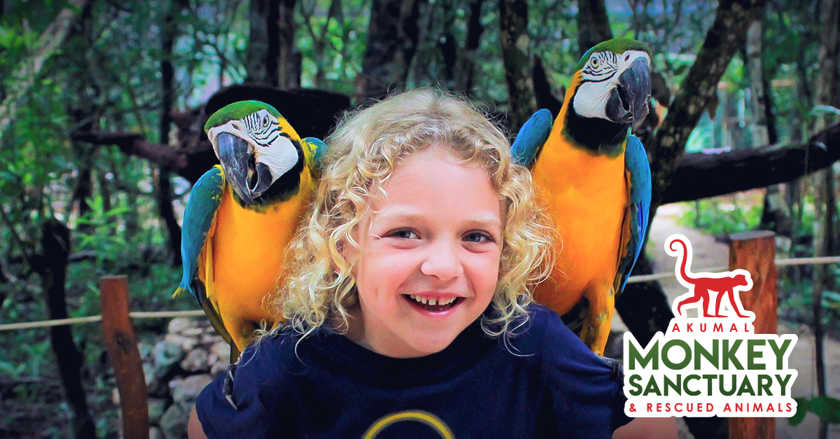 Activities for kids in Playa del Carmen