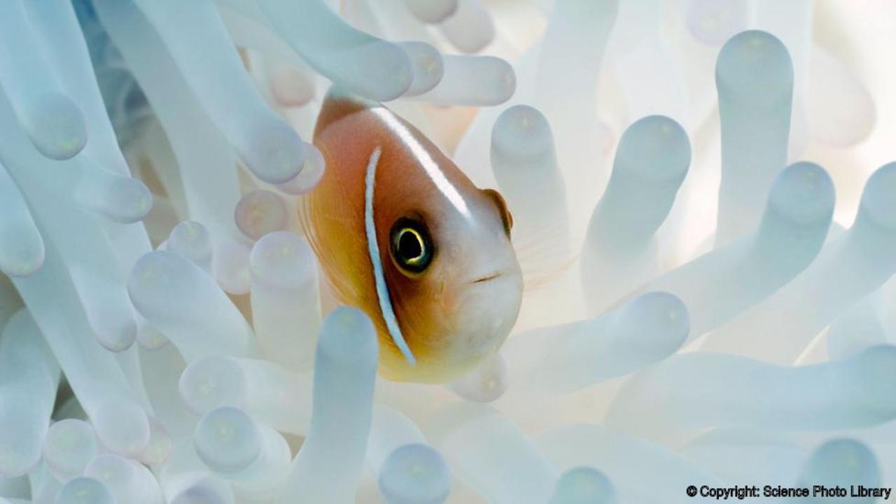 Please be a responsible tourist and protect the reefs