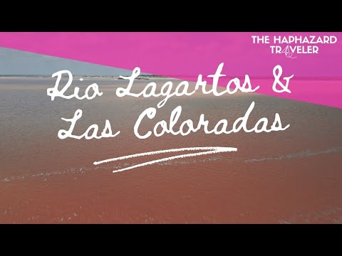 The Pink Lakes of Las Coloradas