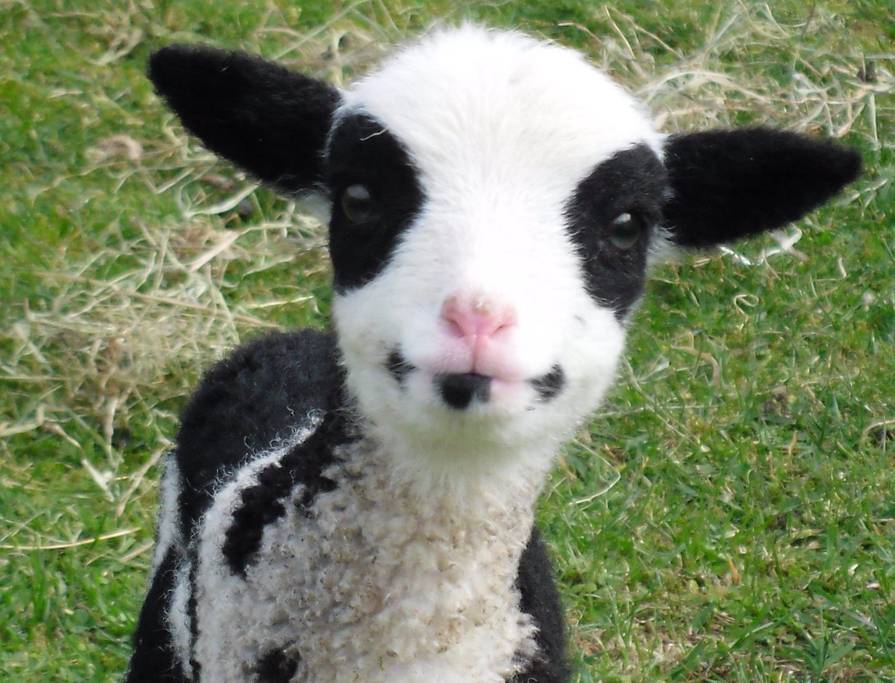 What To Do With The Kids When It Rains in Hokitika