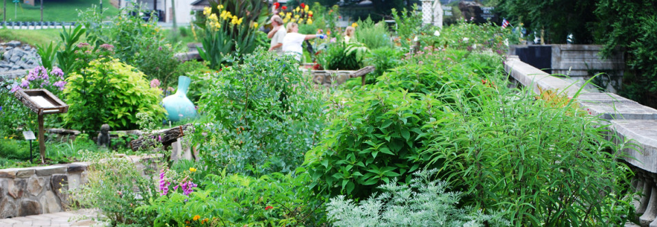 Lake Lure Flowering Bridge