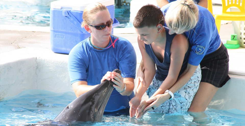 Dolphins, Stingrays, Penguins OH MY.  Gulf World has a lot to offer from daily shows, swimming with the animals, and interactive programs.