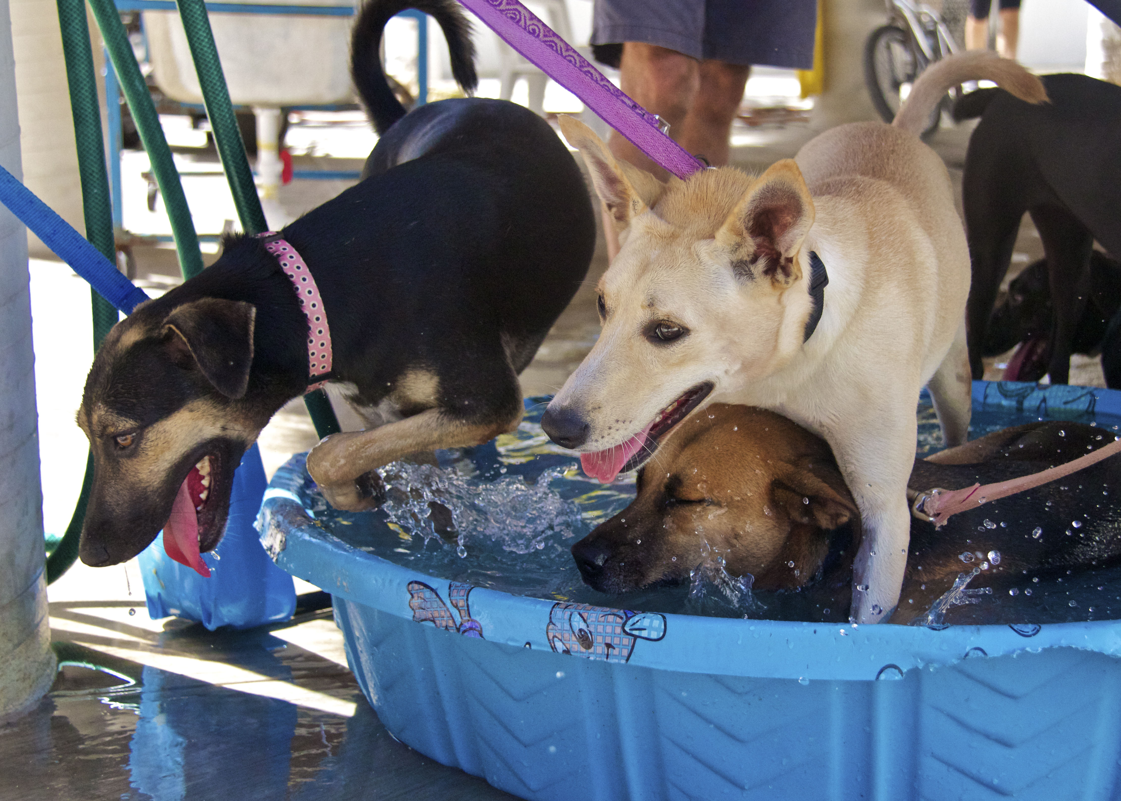 Activities for kids in Playa del Carmen