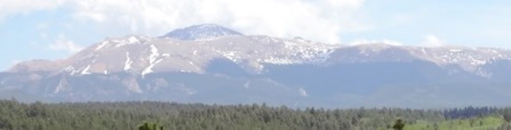 Trusted Vendor Links - TihsreeD Wedding & Event Venue