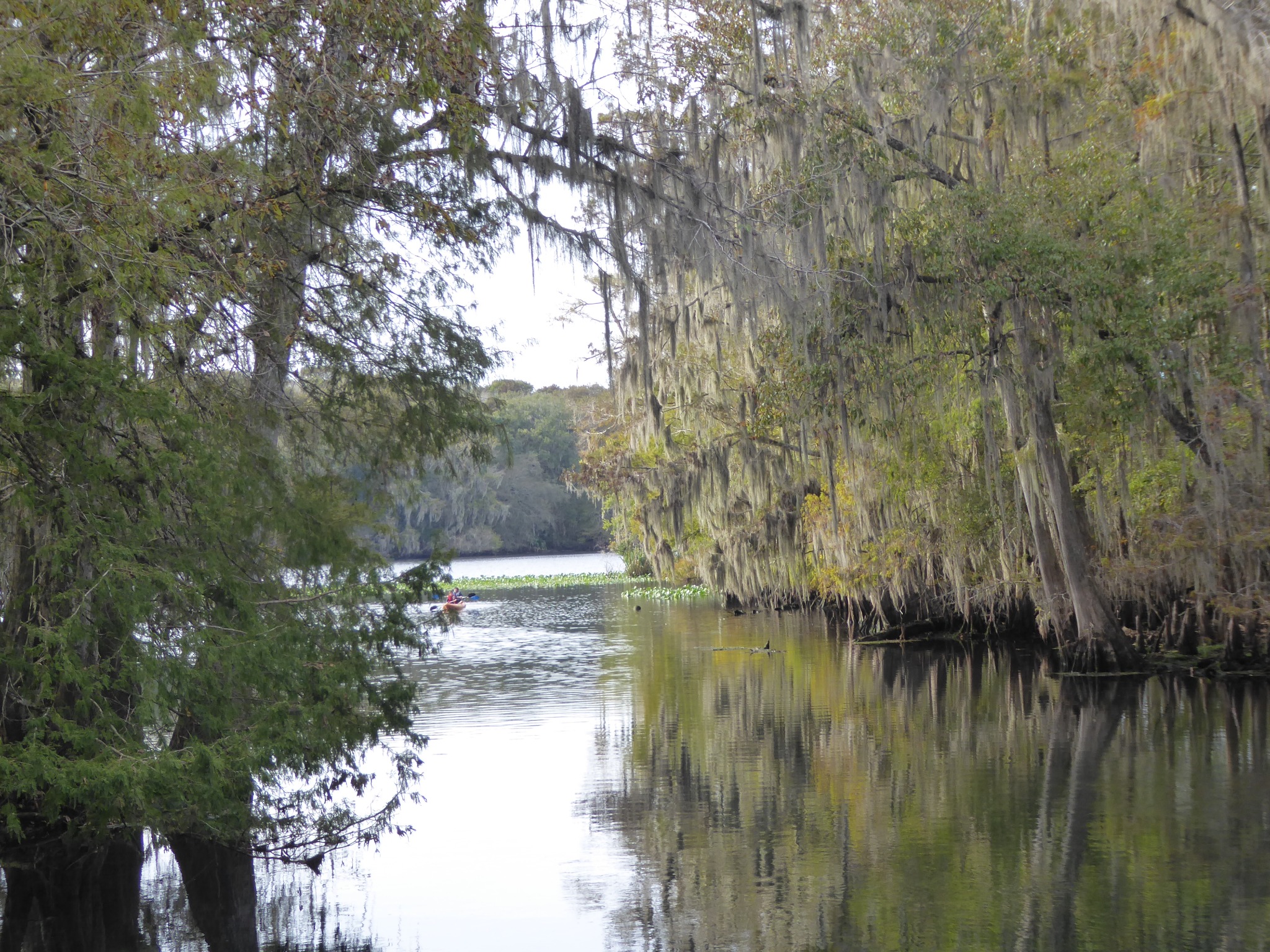 Parks and Springs Near the Suwannee River