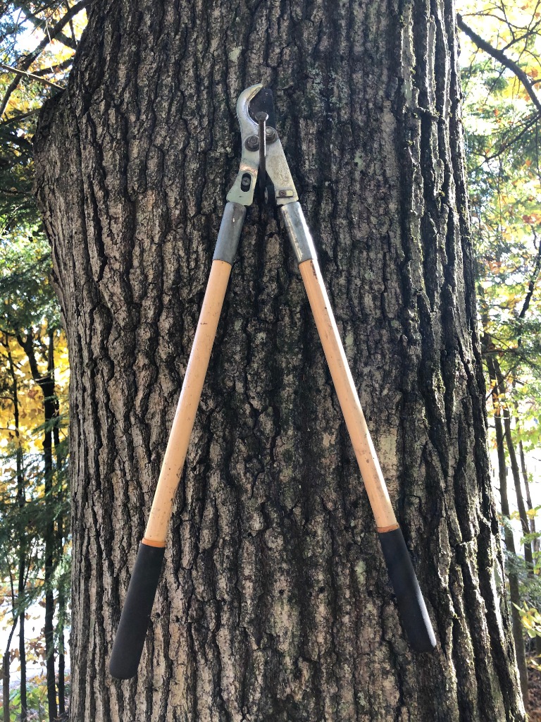 Campfires ~ How To Build A Success