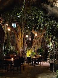 High End Restaurants in Playa del Carmen