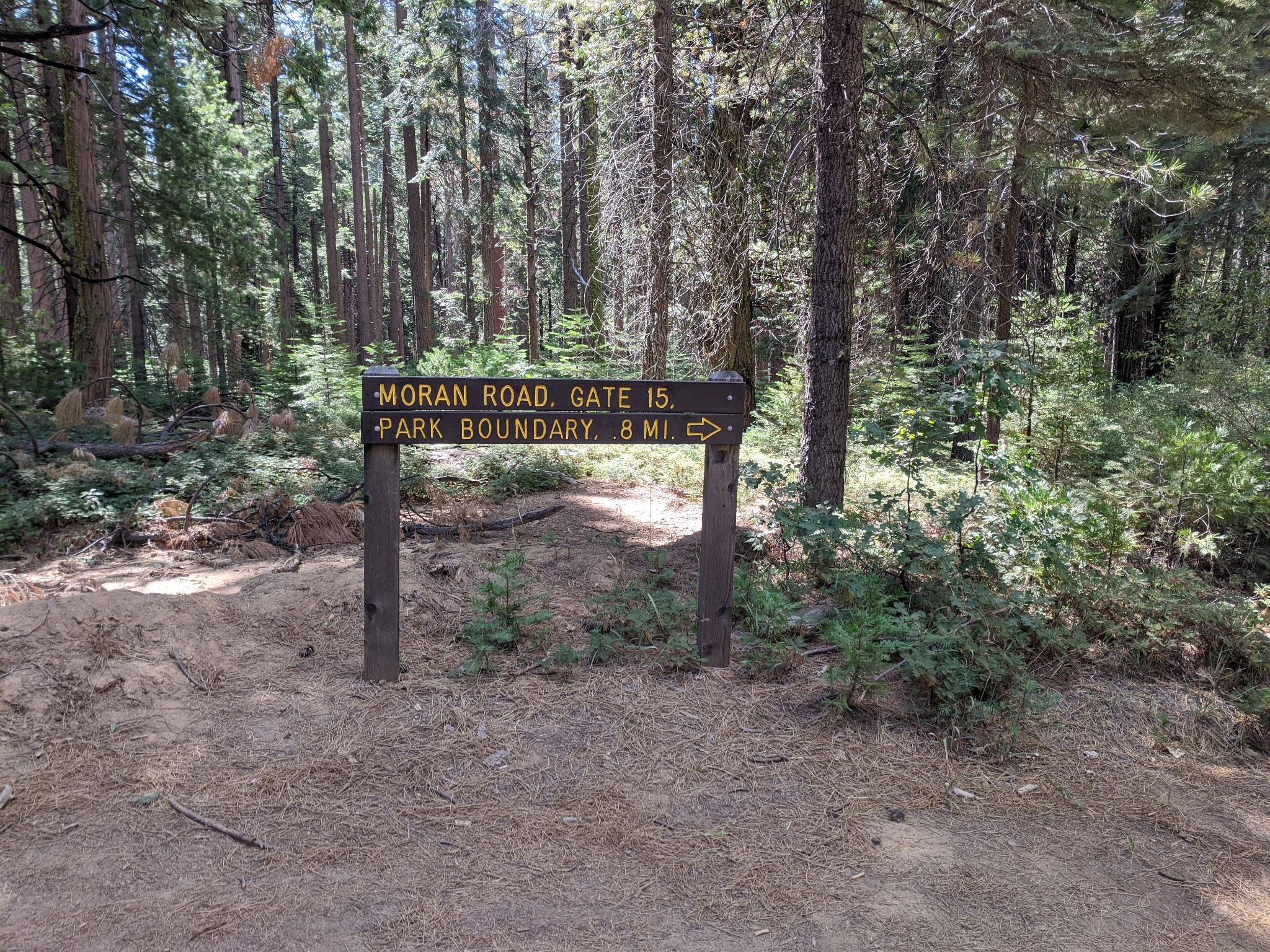 Few visitors know that Calaveras Big Trees State Park can be accessed from Upper Moran Road in the Blue Lake Springs neighborhood of Arnold,