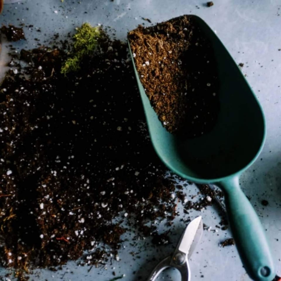 Educational ~ Composting by Zero Waste Cartel If you want to know more