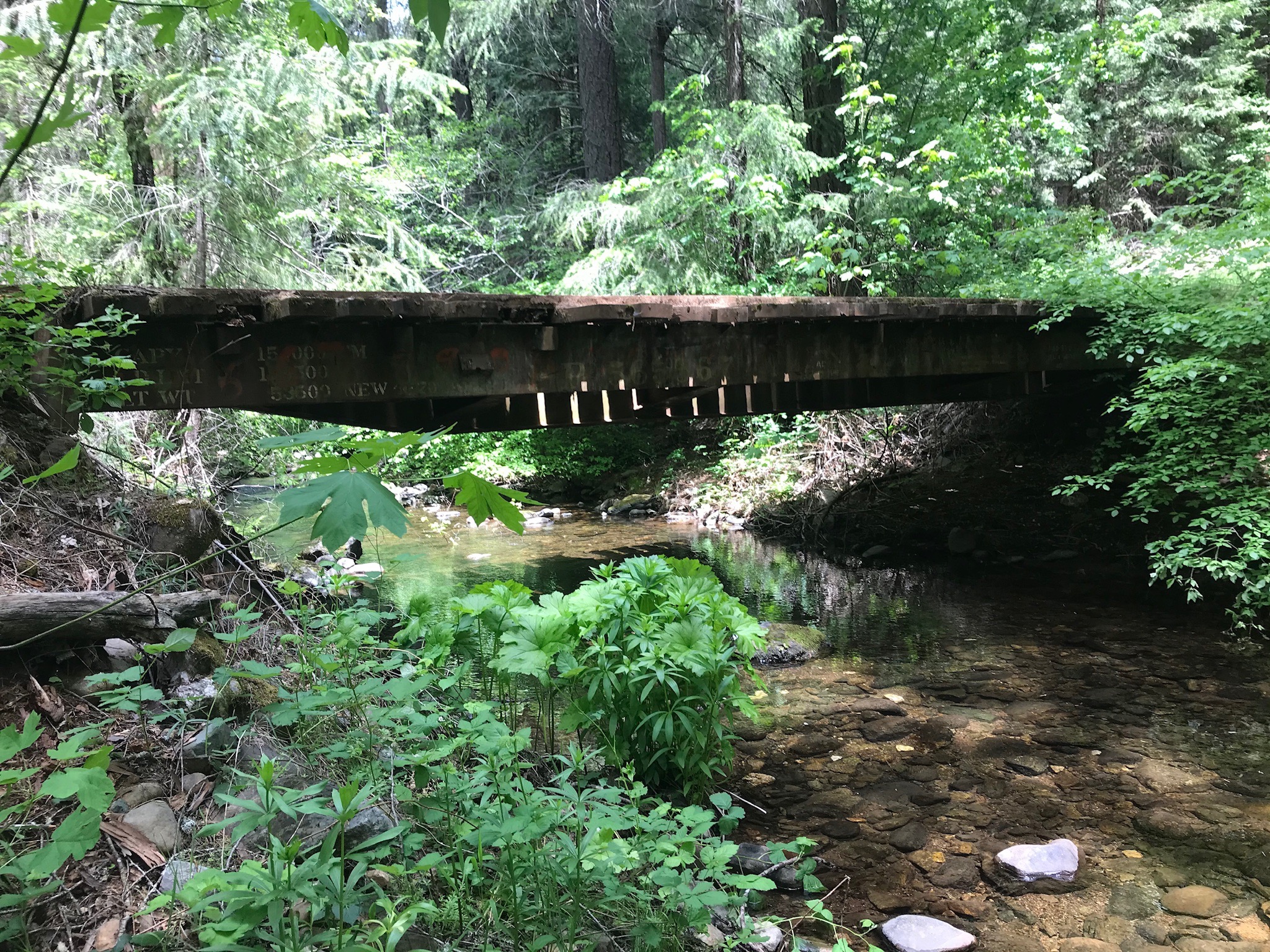 Stagecoach Trail (South Fork Consumnes River) - Part 1