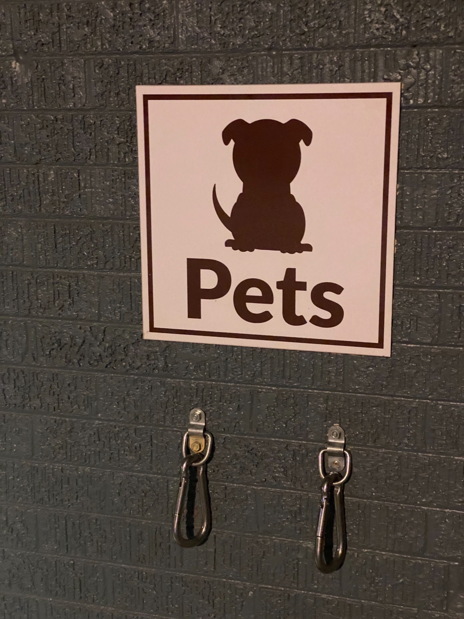 Scavenger Hunt Ellijay, GA