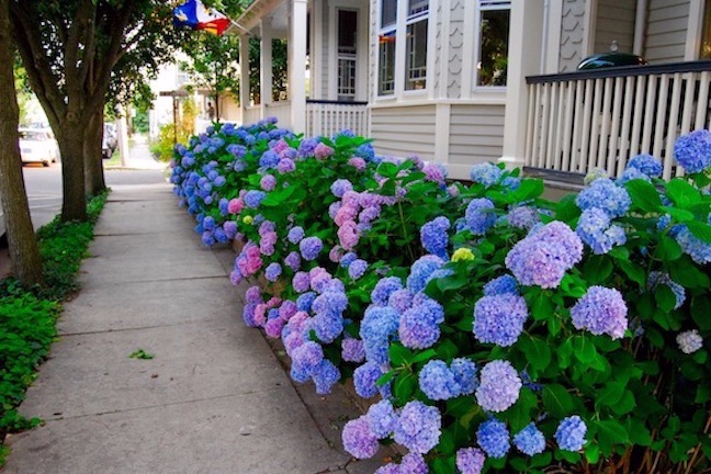 Chadwick Cottage ⭐️⭐️⭐️⭐️⭐️ Vacation Rental Home, Ocean Grove, NJ, USA, 4 Bedrooms & 2 ½ Bathrooms, 5 Blocks to Beach, Best Airbnbs in Asbury Park ChadwickCottage.com ⚓️ Instagram ⚓️ Facebook