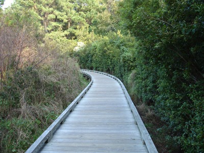 Community Parks on Hilton Head Island