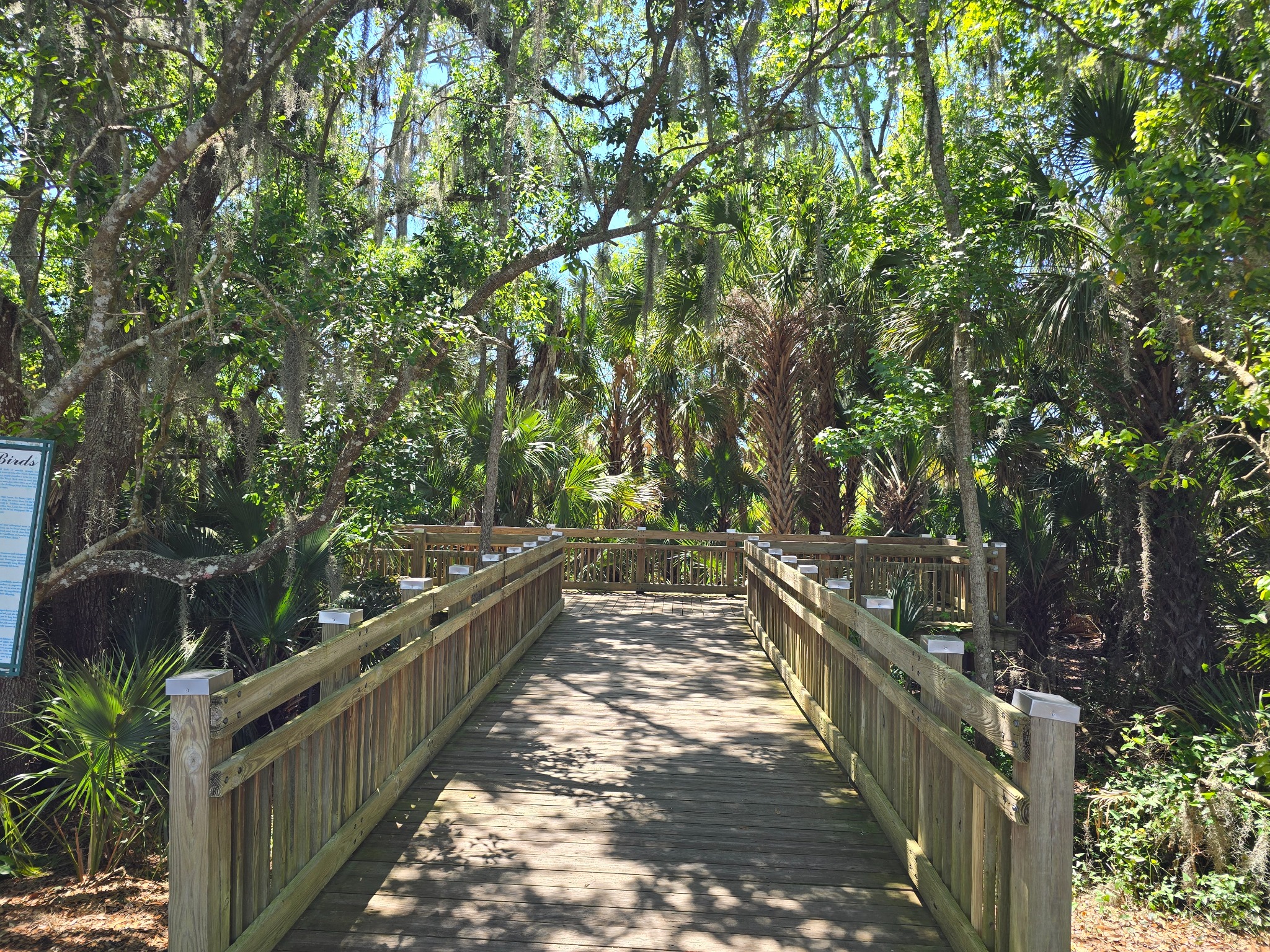 Waarom is de stad Celebration in Florida zo bijzonder?