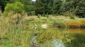 Try This Great Place For Your Next Stroll In The Cape May, NJ Area!