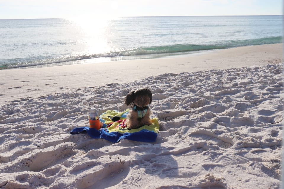 **Diamond on the Emerald Coast**