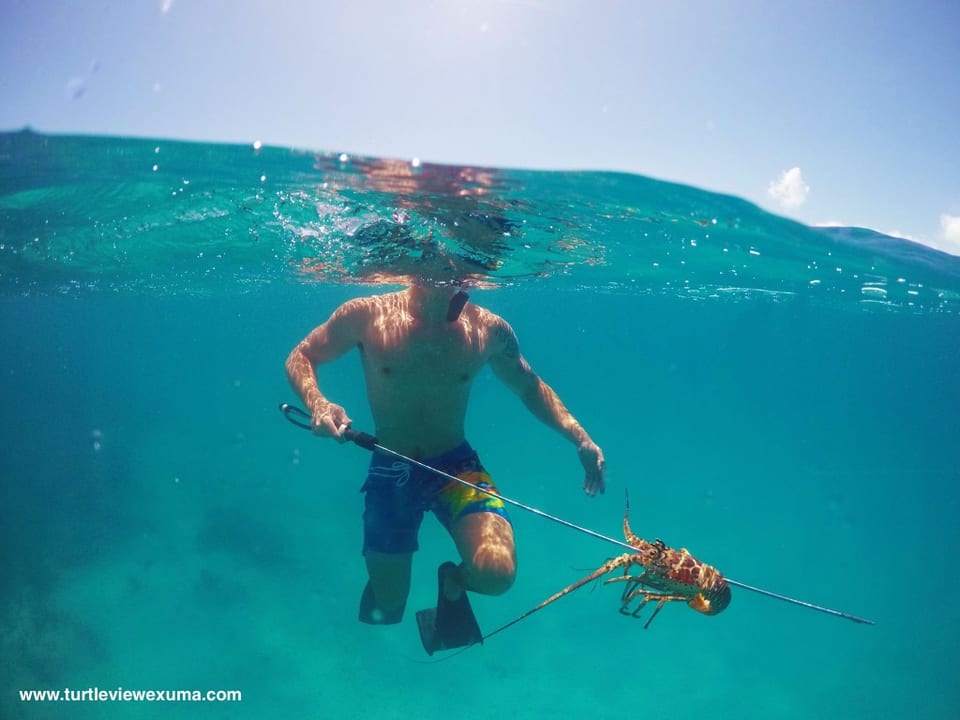 Lobster Season is Upon Us!