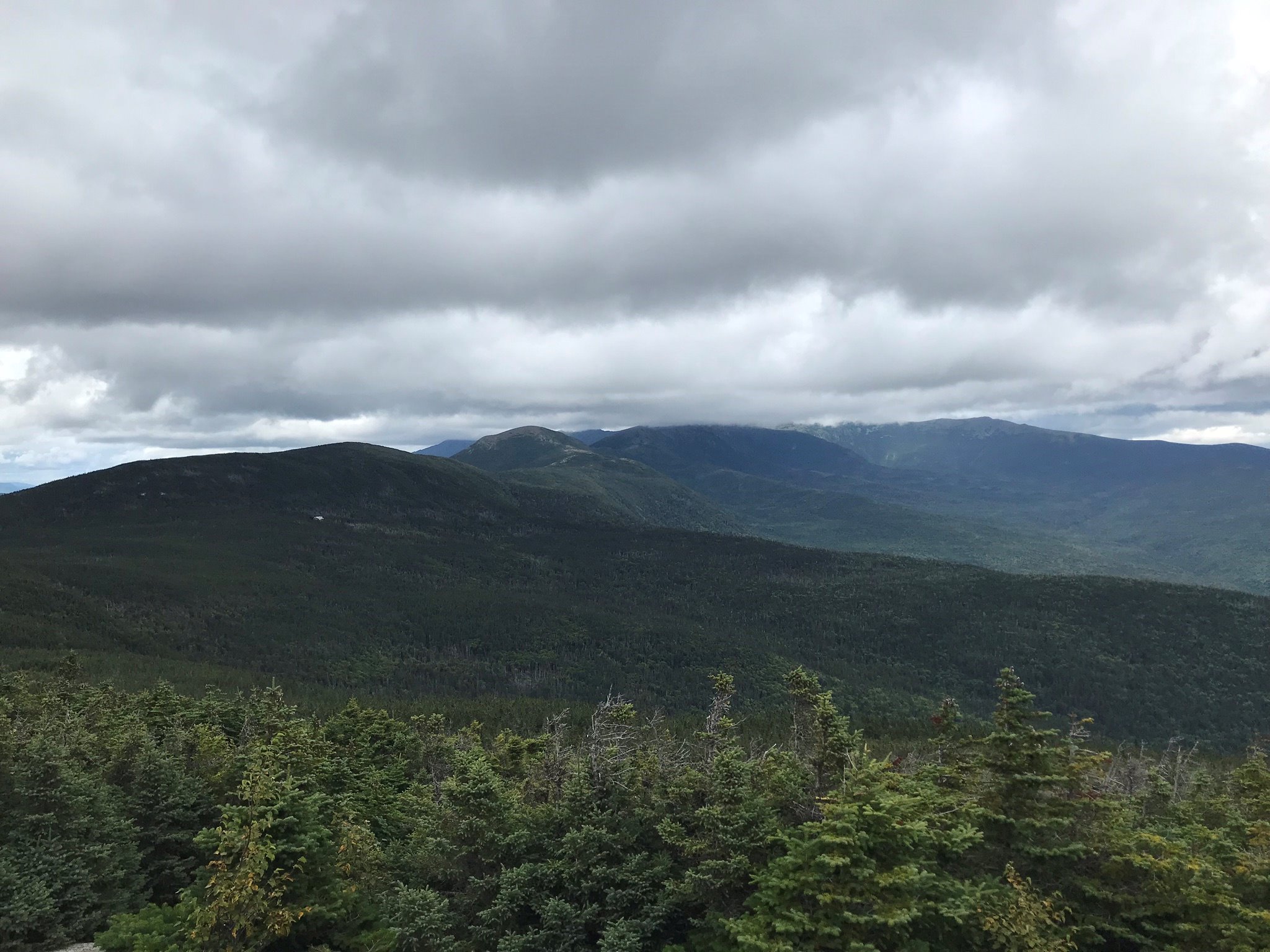 Mt. Jackson and Webster Loop Trail