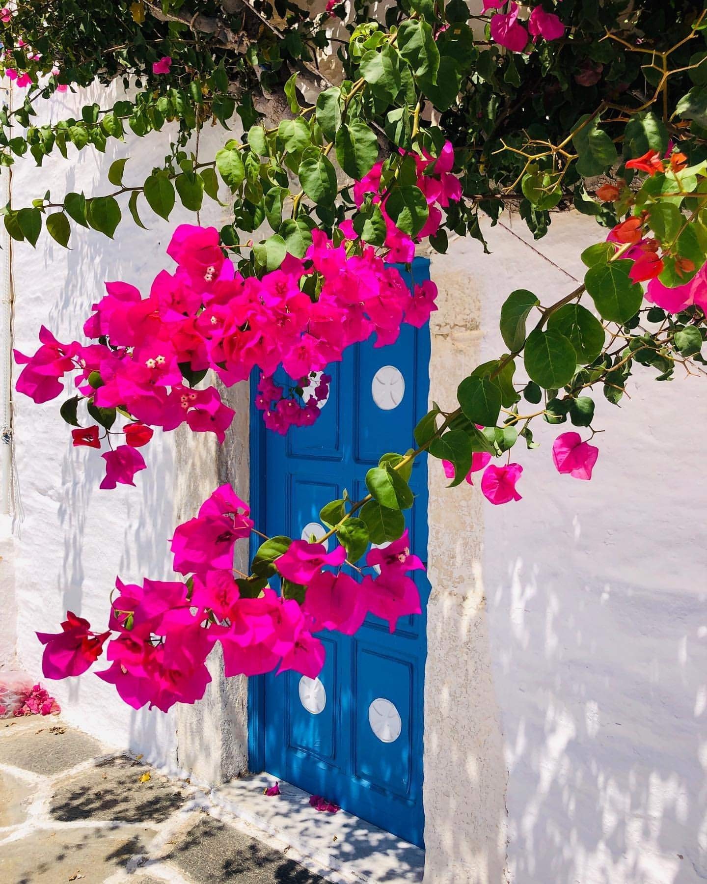 Cobbled Alleys in the Skiathos Old Town Area of Plakes