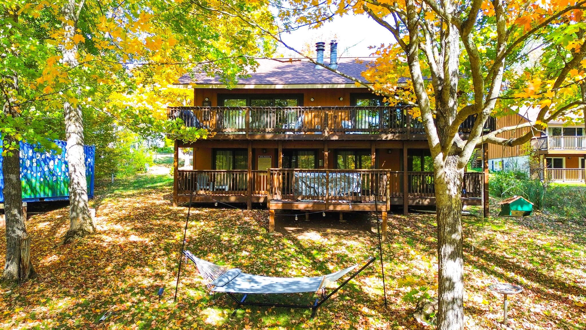 Fall Colors & Cozy Sauna Nights at Cabin Fevers 🍁🐾