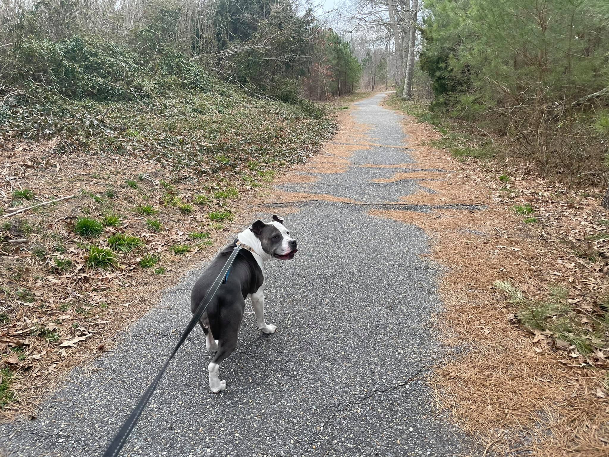 Try This Great Place For Your Next Stroll In The Cape May, NJ Area!