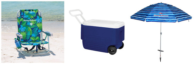 Auntie Snorkel. The Best Place To Rent Snorkel And Beach Gear On Maui