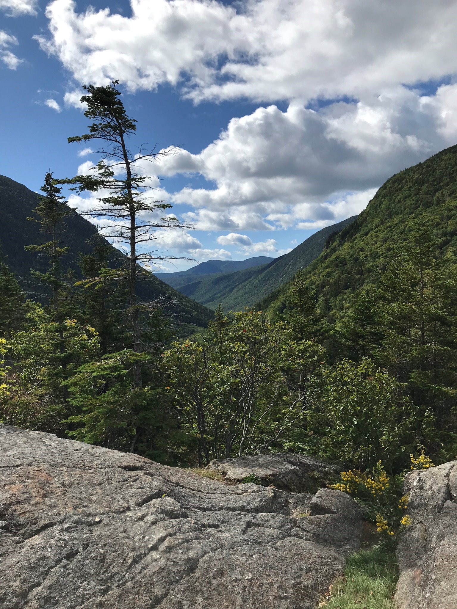Mt. Jackson and Webster Loop Trail