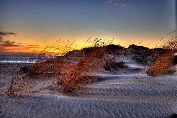 The Beach & Dunes at Bradley Beach