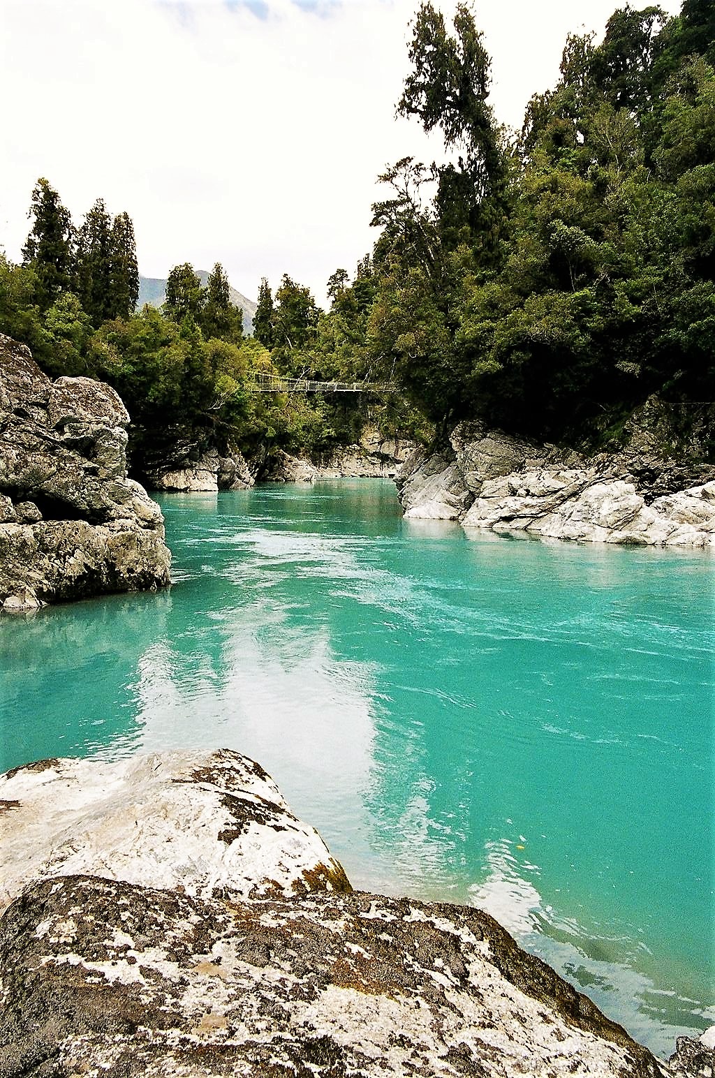 A Visit To The West Coast Of The South Island Is A MUST DO!