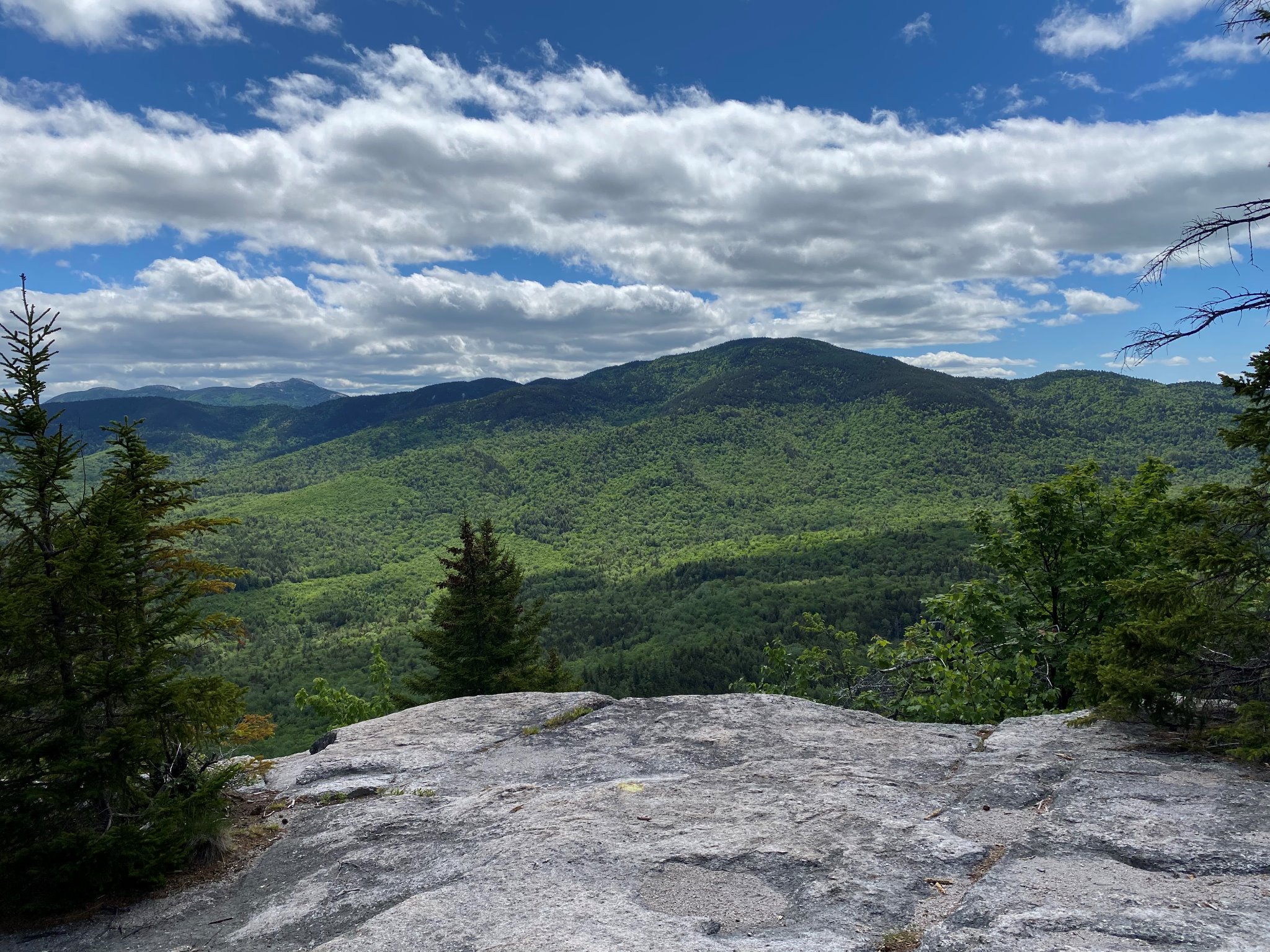 Beginner & Family Friendly Hikes