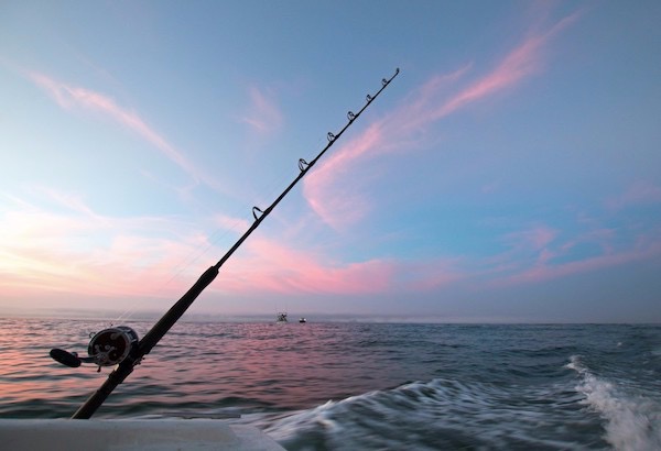 Miss Belmar Princess - Deep Sea Fishing