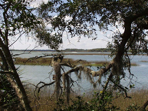 Community Parks on Hilton Head Island