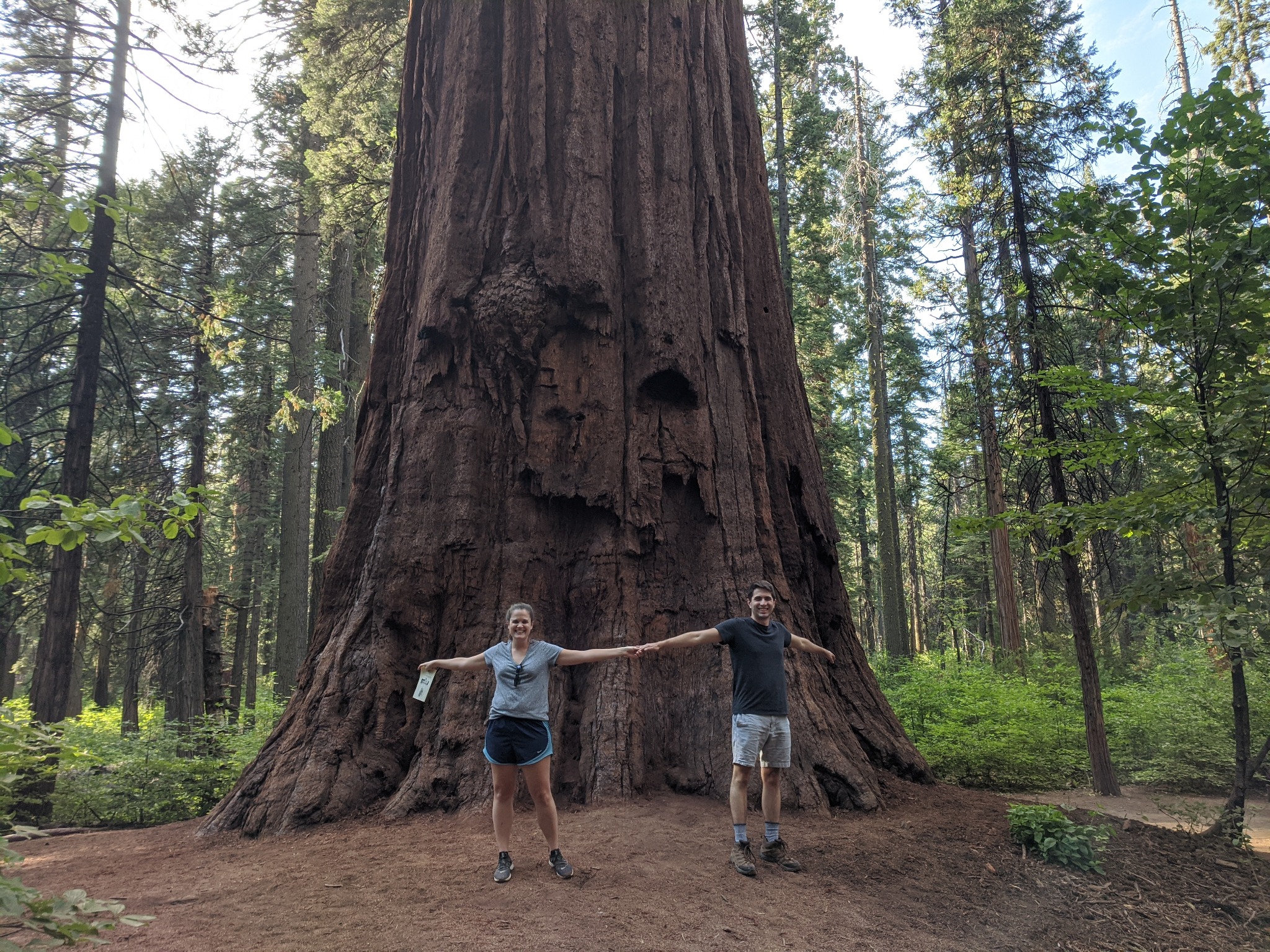 Few visitors know that Calaveras Big Trees State Park can be accessed from Upper Moran Road in the Blue Lake Springs neighborhood of Arnold,