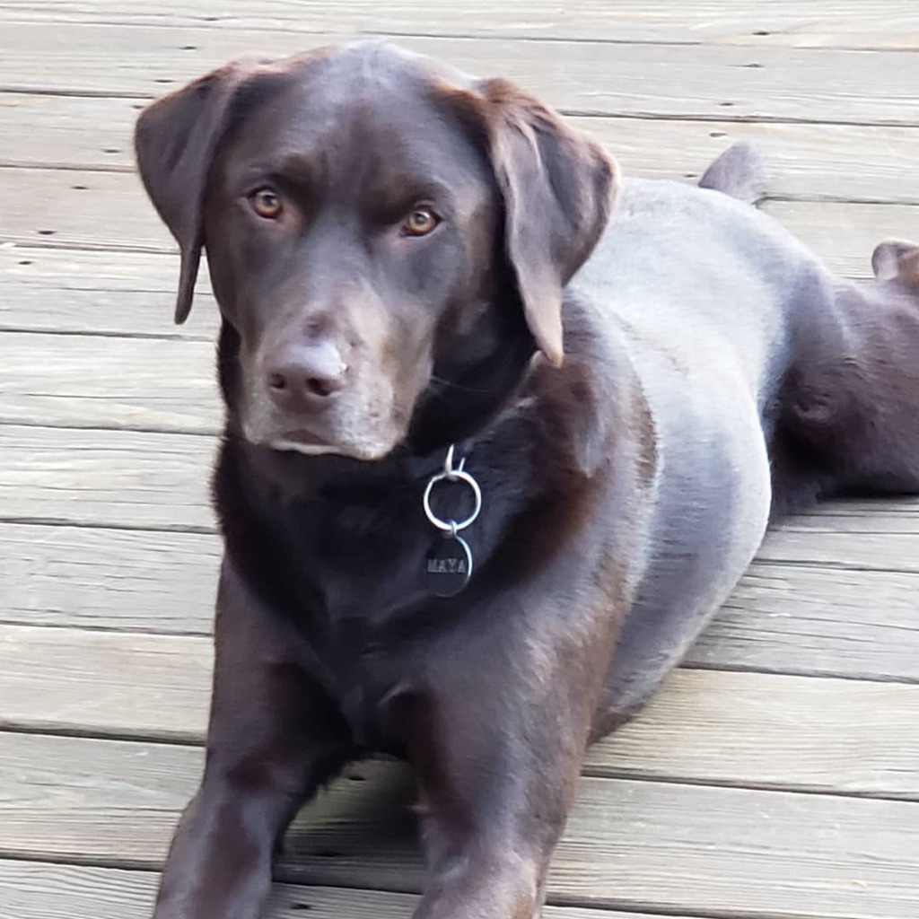 Labor Day Wknd Guest Photos