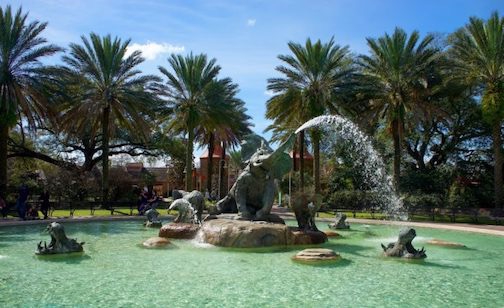Audubon Zoo