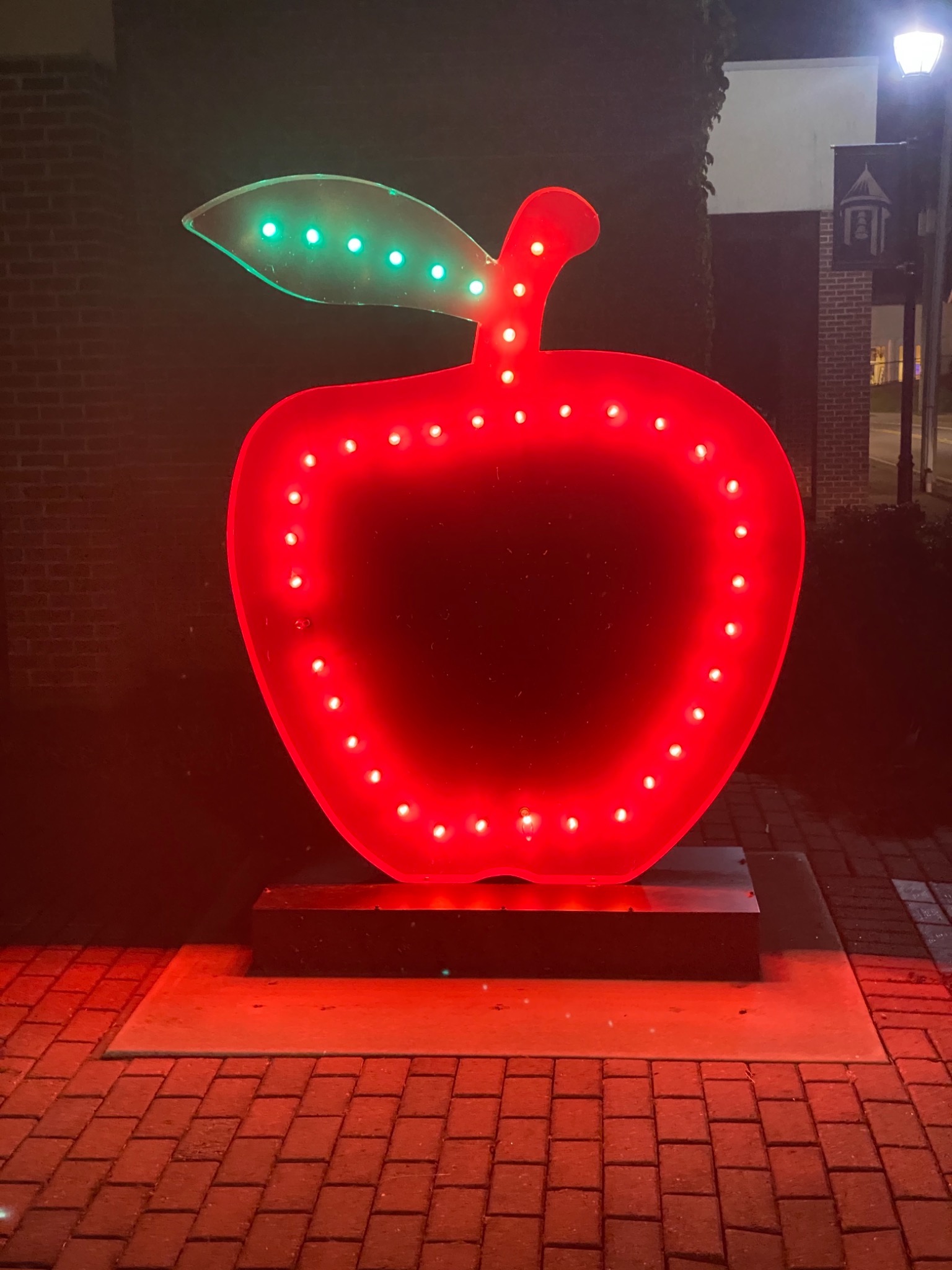 Scavenger Hunt Ellijay, GA