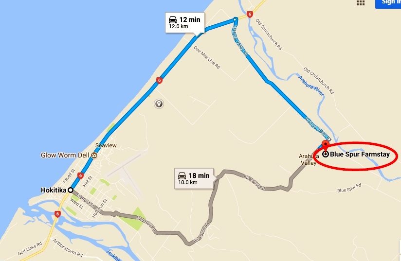 Check In Instructions