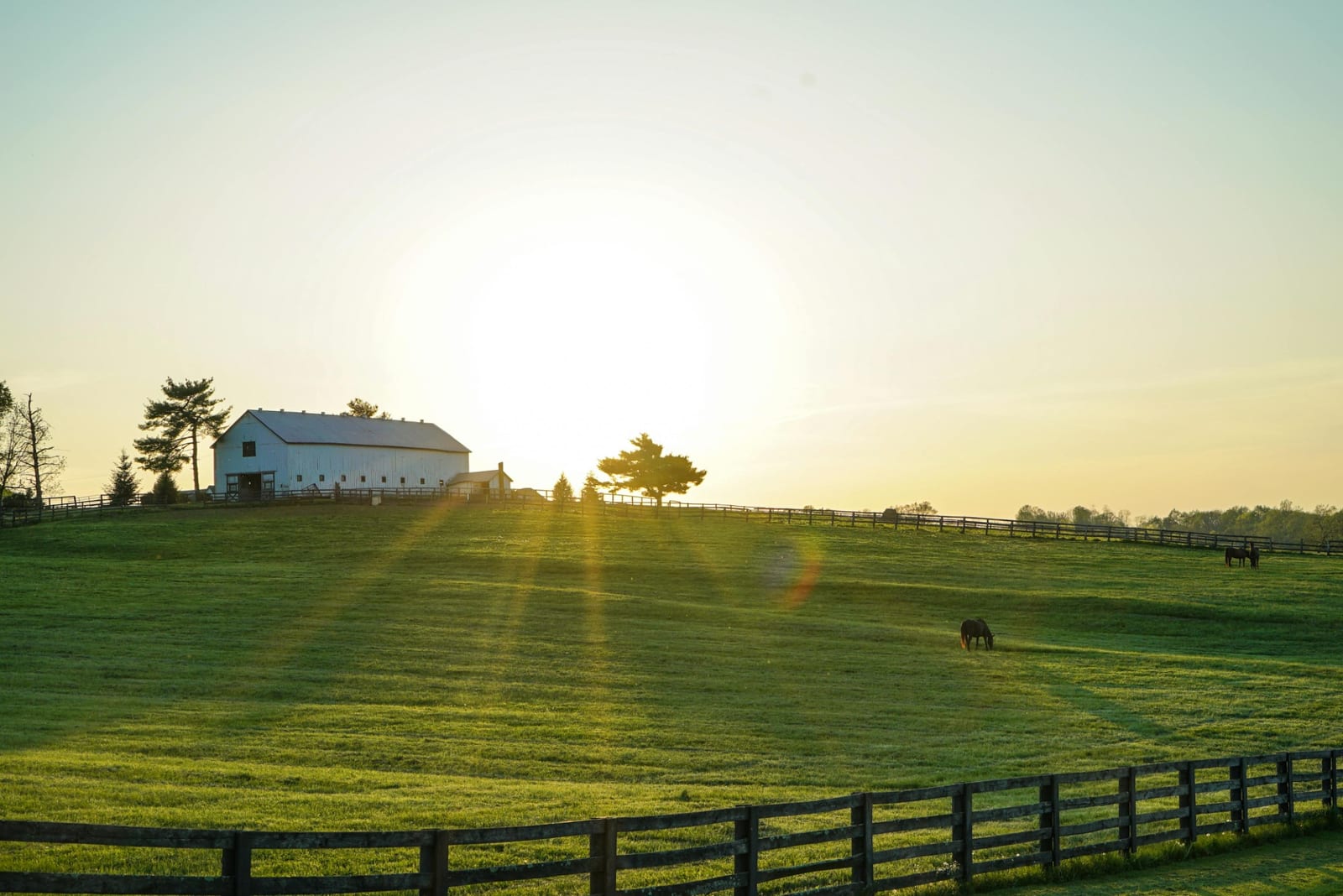 Montana's Best Short-Term Rentals for Every Season